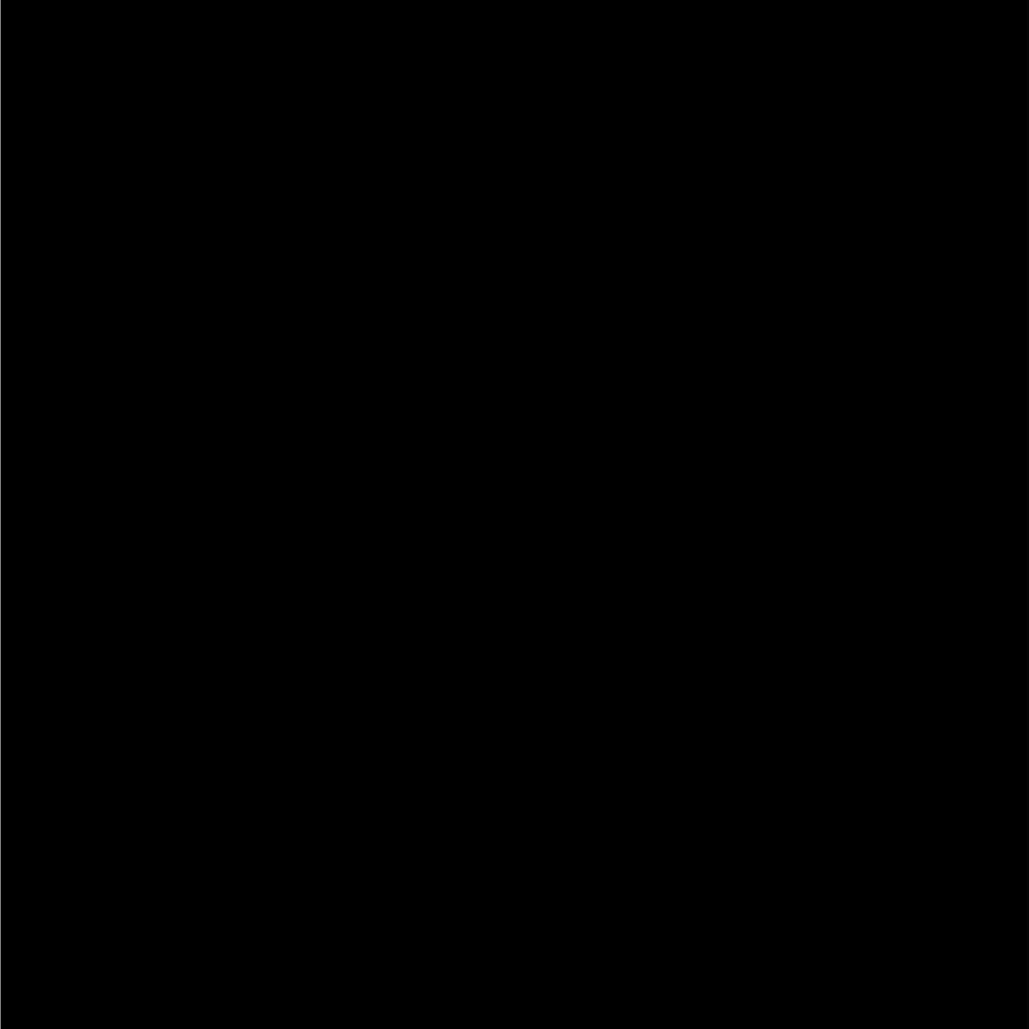 8 oz. Fast-Drying Acrylic Automotive Paint – Brilliant Black Pearl for Chrysler