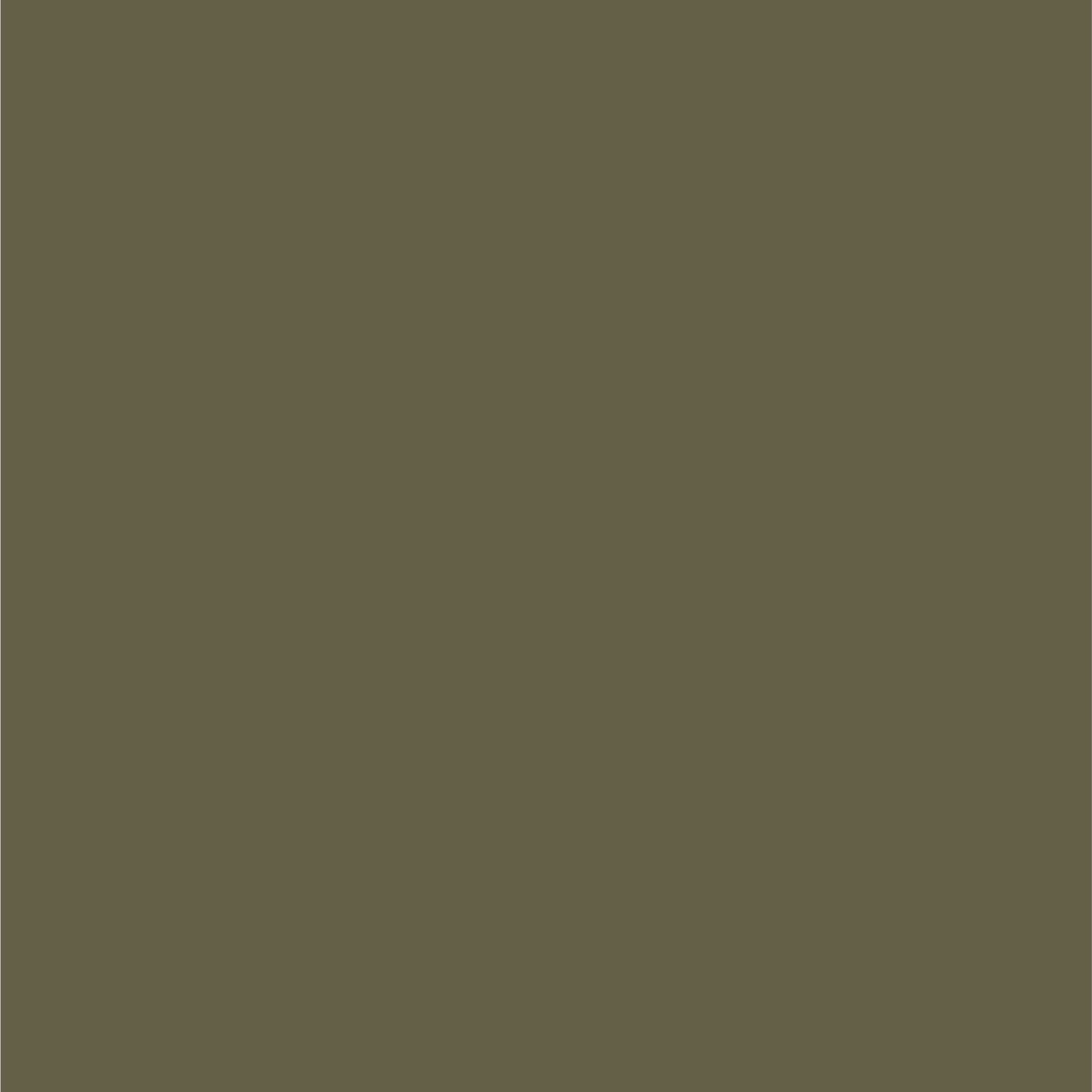 Dupli-Color EBFM03547 Perfect Match Auto Spray Paint Ford Arizona Beige AQ 8 oz