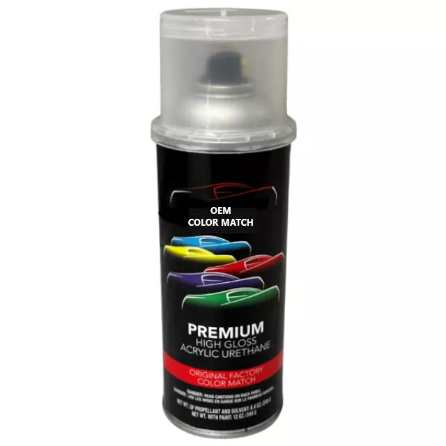 Premium Automotive Exterior Spray Paint 12 oz For Volkswagen