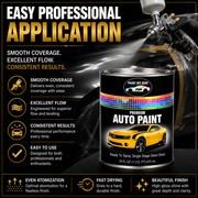 RTS Single Stage Direct Gloss Paint Pint for 2023 Hyundai Serenity White W6H