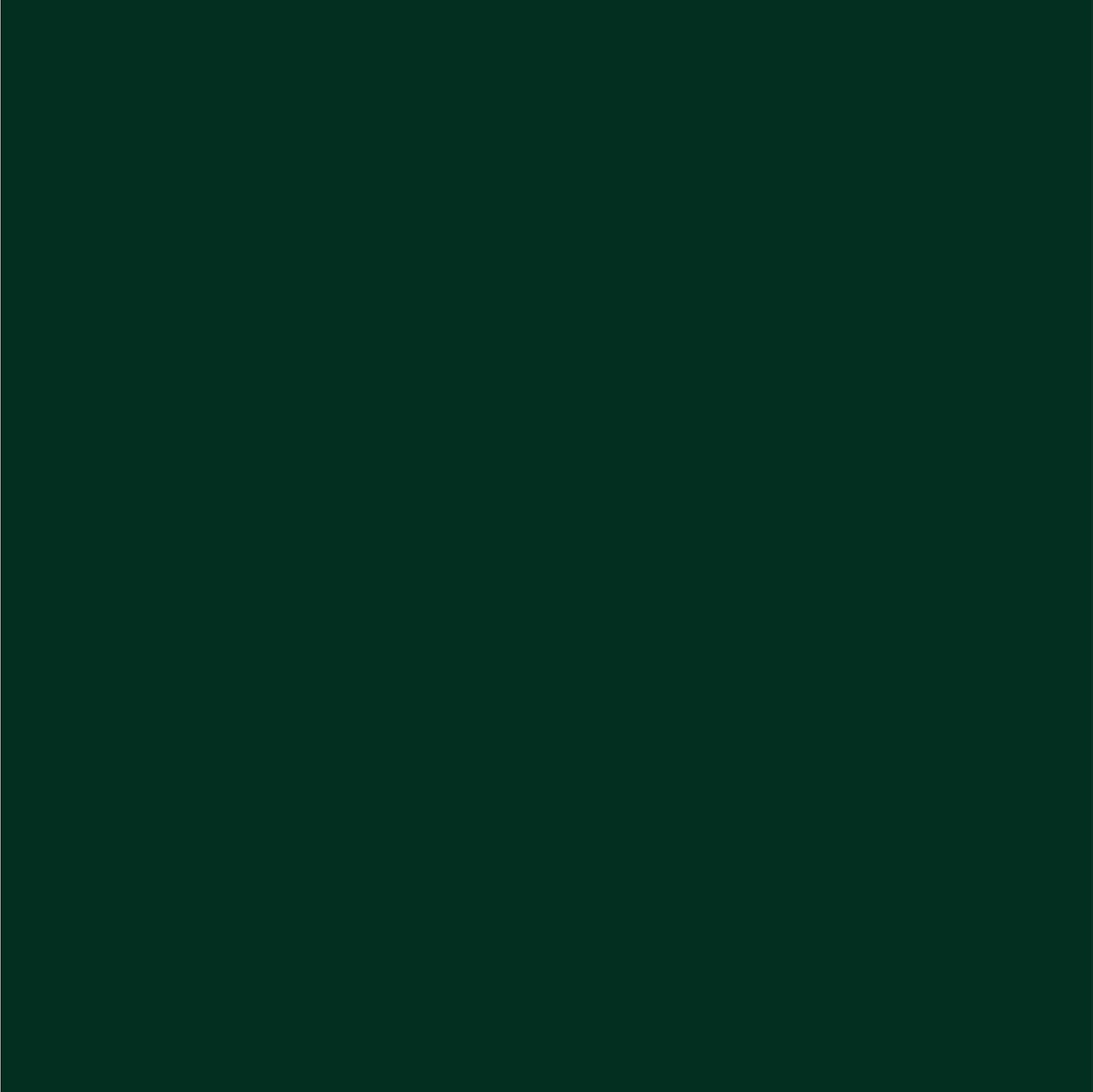 Acrylic Automotive Spray Paint for Chrysler – 8 Oz. Forest Green Pearl, PG8