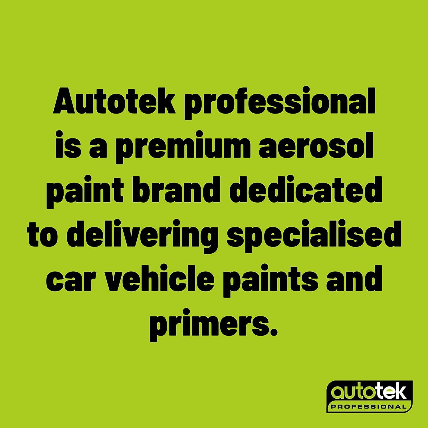 Autotek Exact Match Fast Drying Aerosol Spray Paint Ford Moondust Silver 10.14oz
