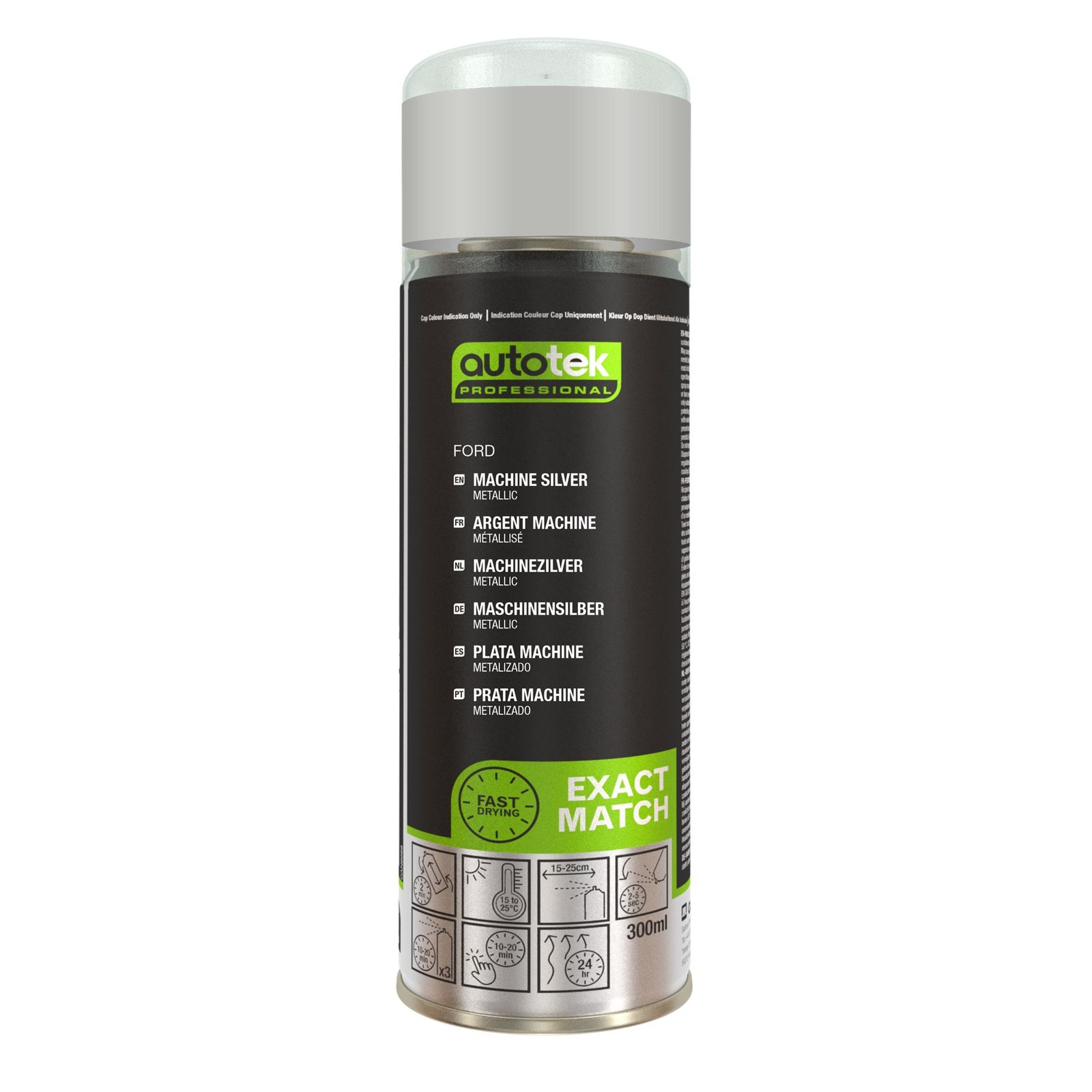 Autotek Quick Drying Exact Match Aerosol Spray Paint Ford Machine Silver 10.14oz