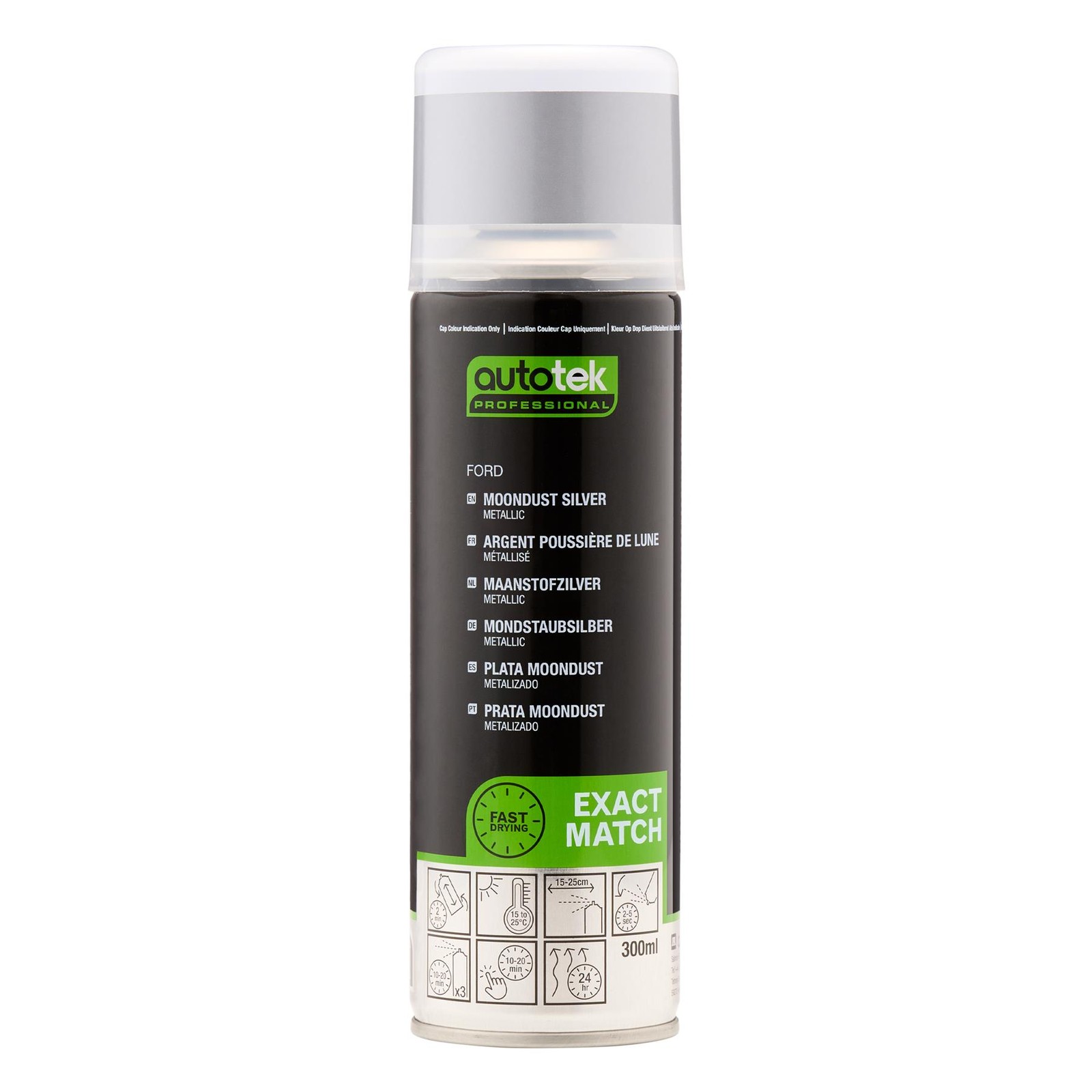 Autotek Exact Match Fast Drying Aerosol Spray Paint Ford Moondust Silver 10.14oz