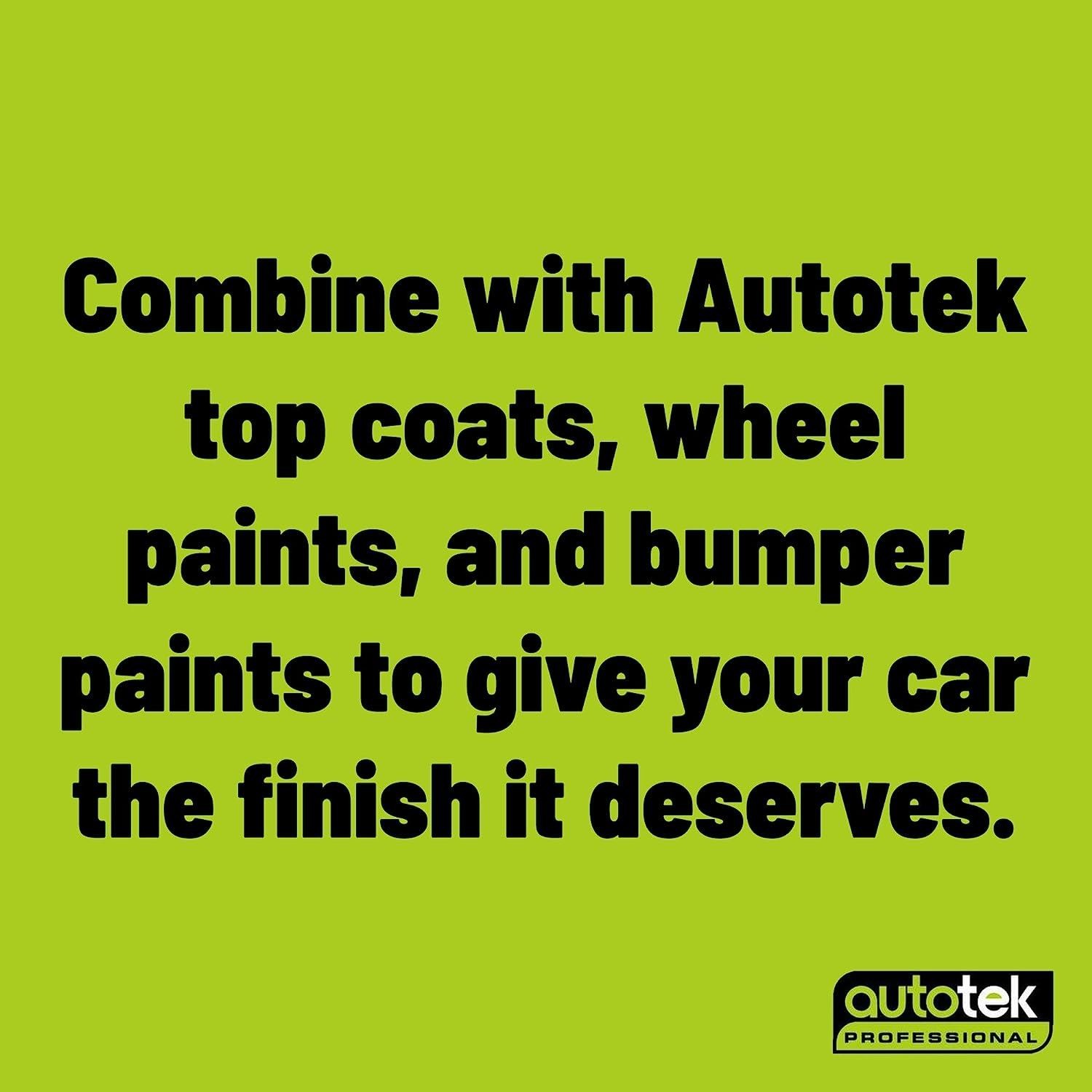 Autotek Exact Match Fast Drying Aerosol Spray Paint Ford Shadow Black 10.14oz