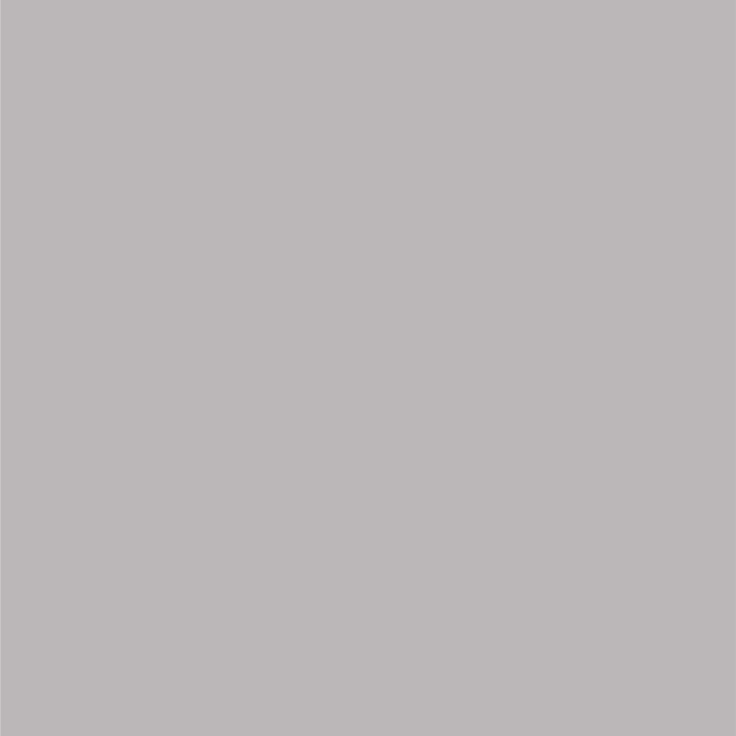 Fast-Drying Chrysler Paint – Perfect Match Bright Silver Metallic, 8 oz Aerosol