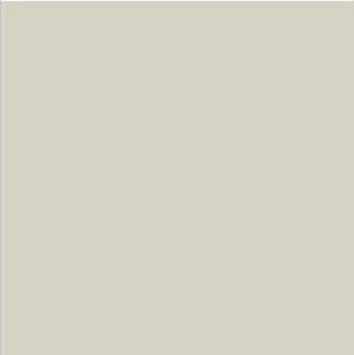 Liquid Touch-Up Paint in White Diamond Pearl with Pen and Brush Applicators