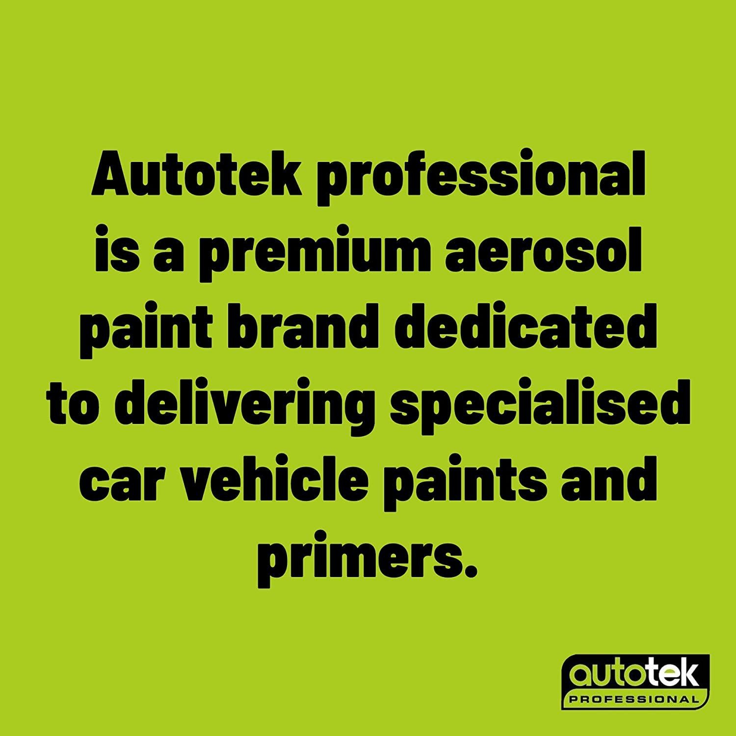 Autotek Exact Match Fast Drying Aerosol Spray Paint Ford Shadow Black 10.14oz
