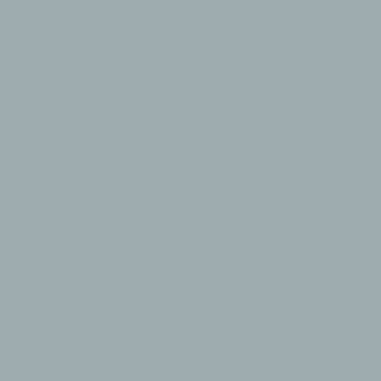 Duplicolor FP101 General Purpose Sandable Filler & Primer Gray 11Oz Pack of 12