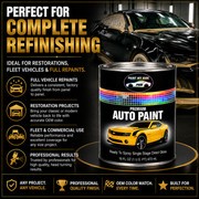 RTS Single Stage Direct Gloss Paint Pint for 2024 Hyundai Serenity White W6H