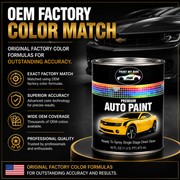 RTS Single Stage Direct Gloss Paint Pint for 2023 Hyundai Serenity White W6H