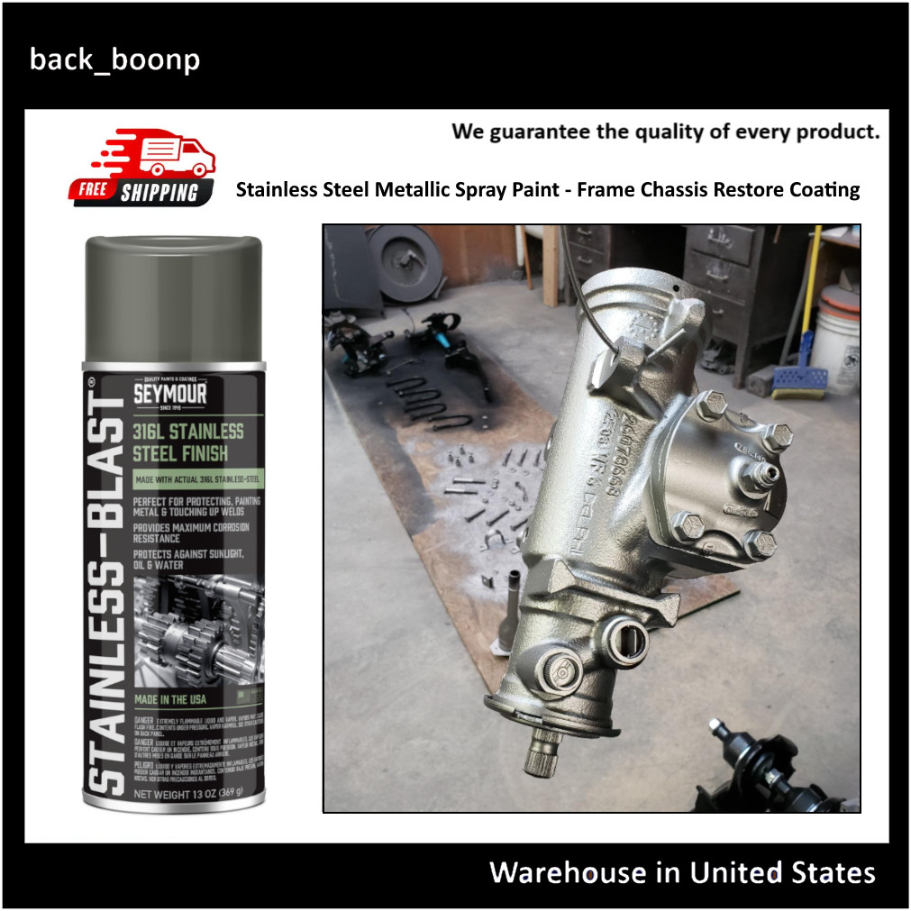 Stainless Steel Metallic Spray Paint Rust Protect Frame Chassis Restore Coating