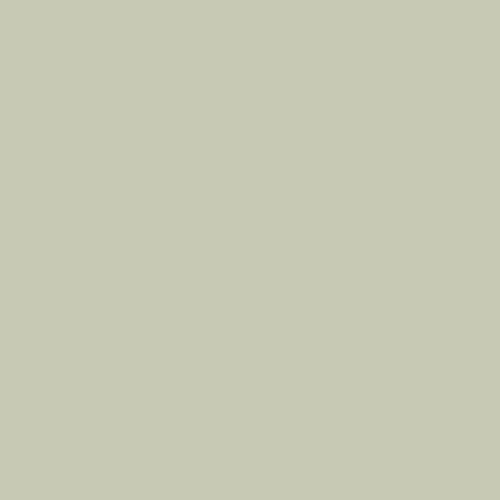 Dupli-Color EBGM04907 Perfect Match Automotive Spray Paint – General Motors…