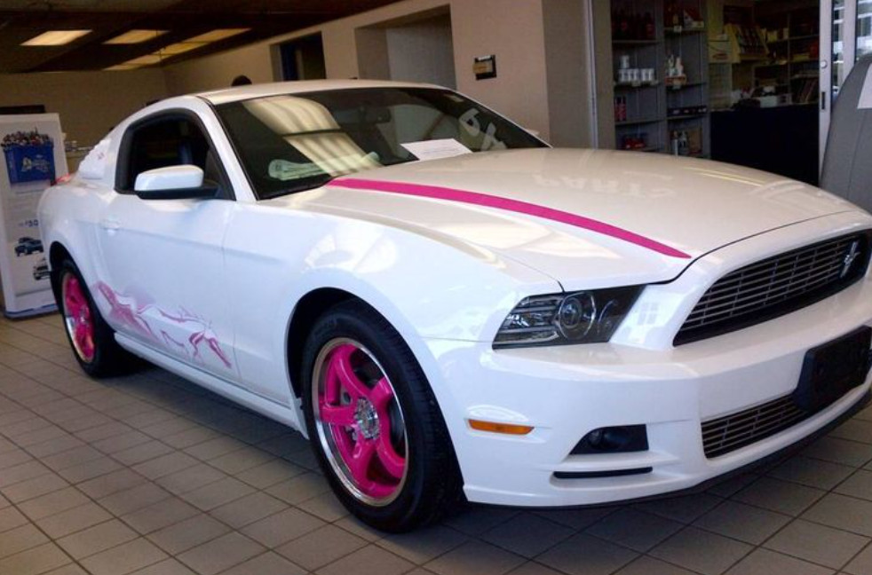 6PK Pink Spray Paint Wheels Rim Valve Cover Engine Caliper High Heat Coating