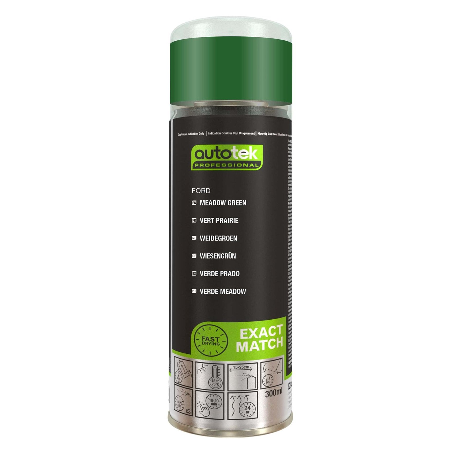 Autotek Ford Meadow Green Automotive Fast Drying Aerosol Spray Paint 10.14oz