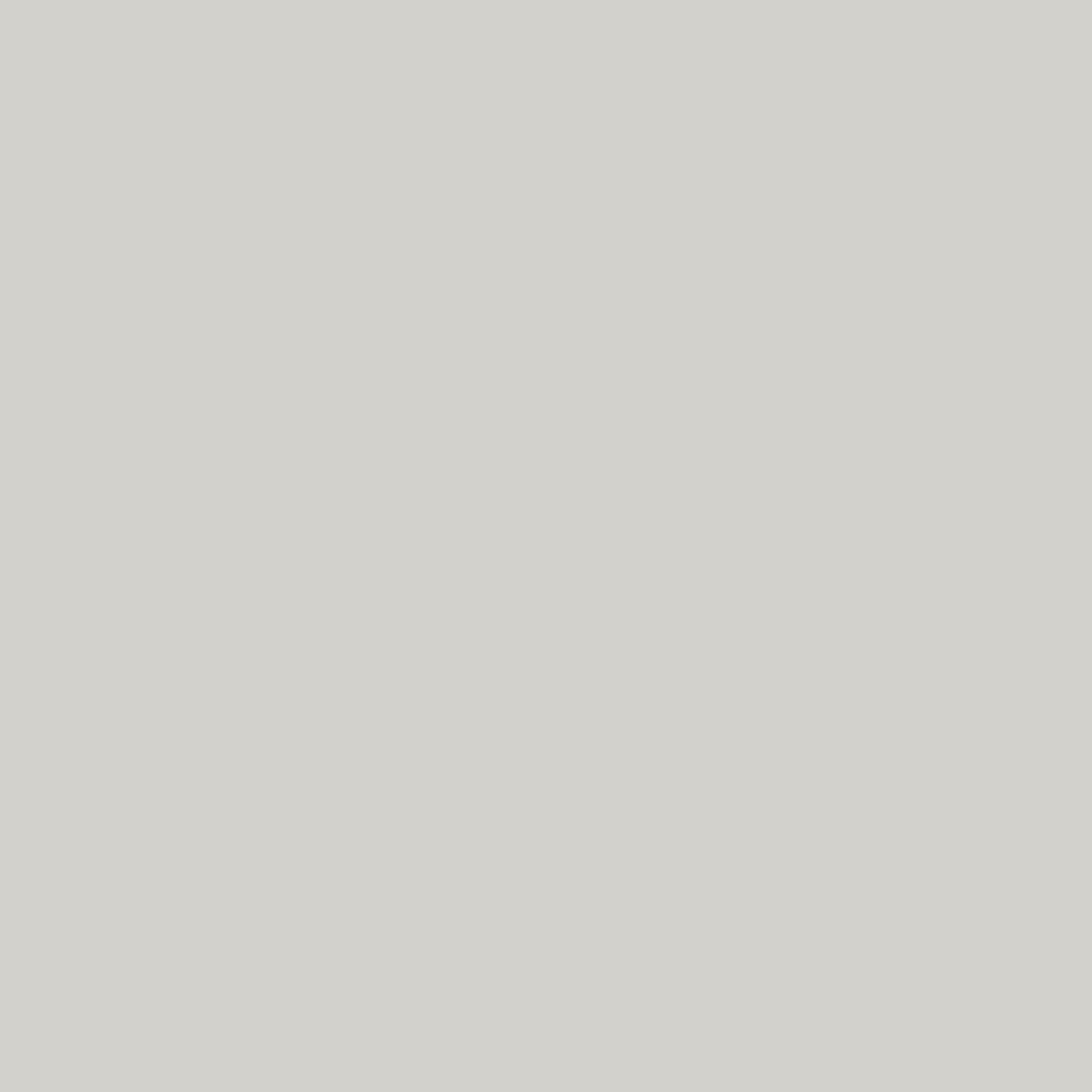 Premium Automotive Paint – Fine Silver Birch, 8 oz – Perfect Match, Touch-Up, Sp