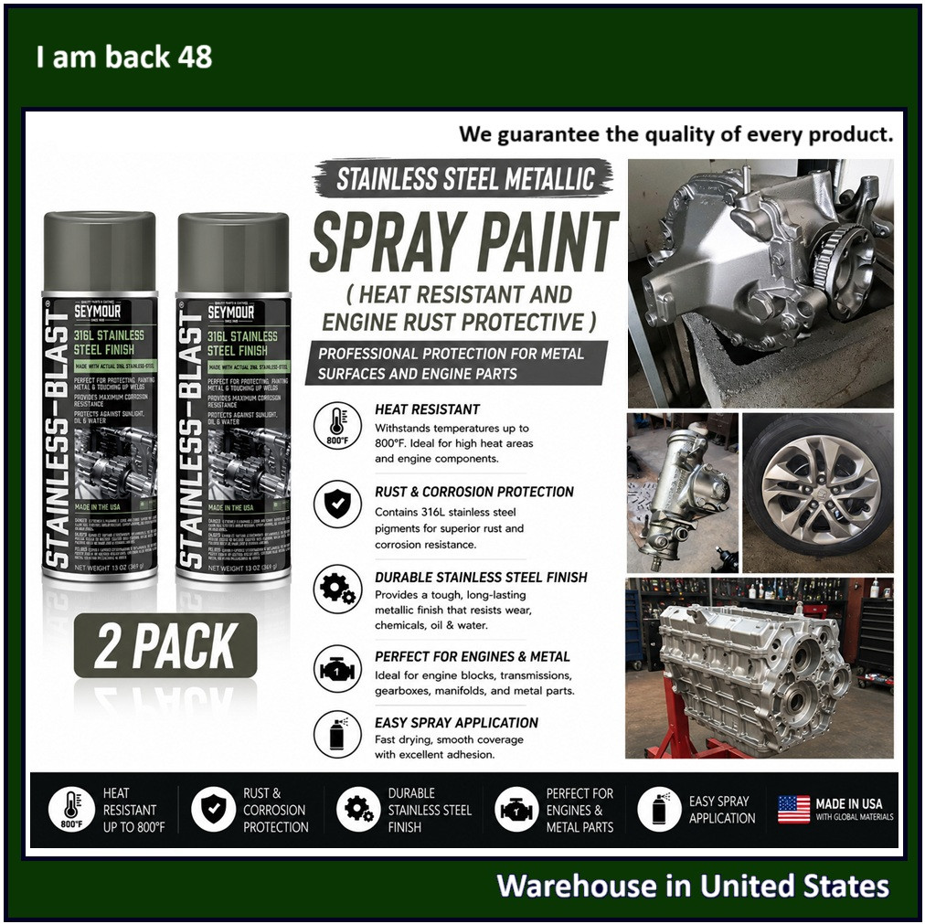 Stainless Steel Metallic Spray Paint Heat Resistant &Engine Rust Protective 2PK