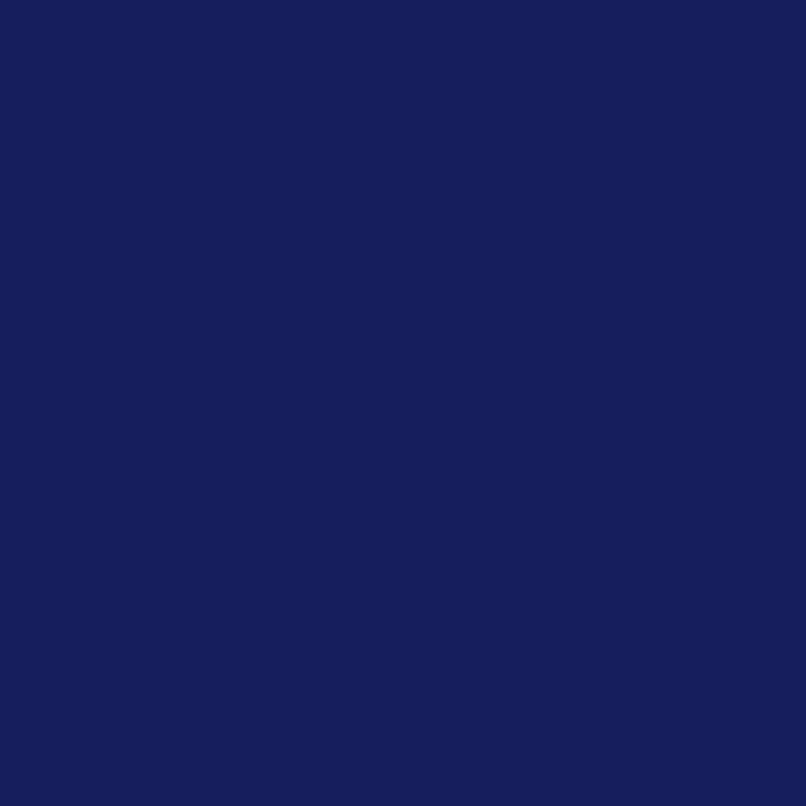 Dupli-Color Perfect Match Premium 8 Ounce (Pack of 1), Navy Blue (M)