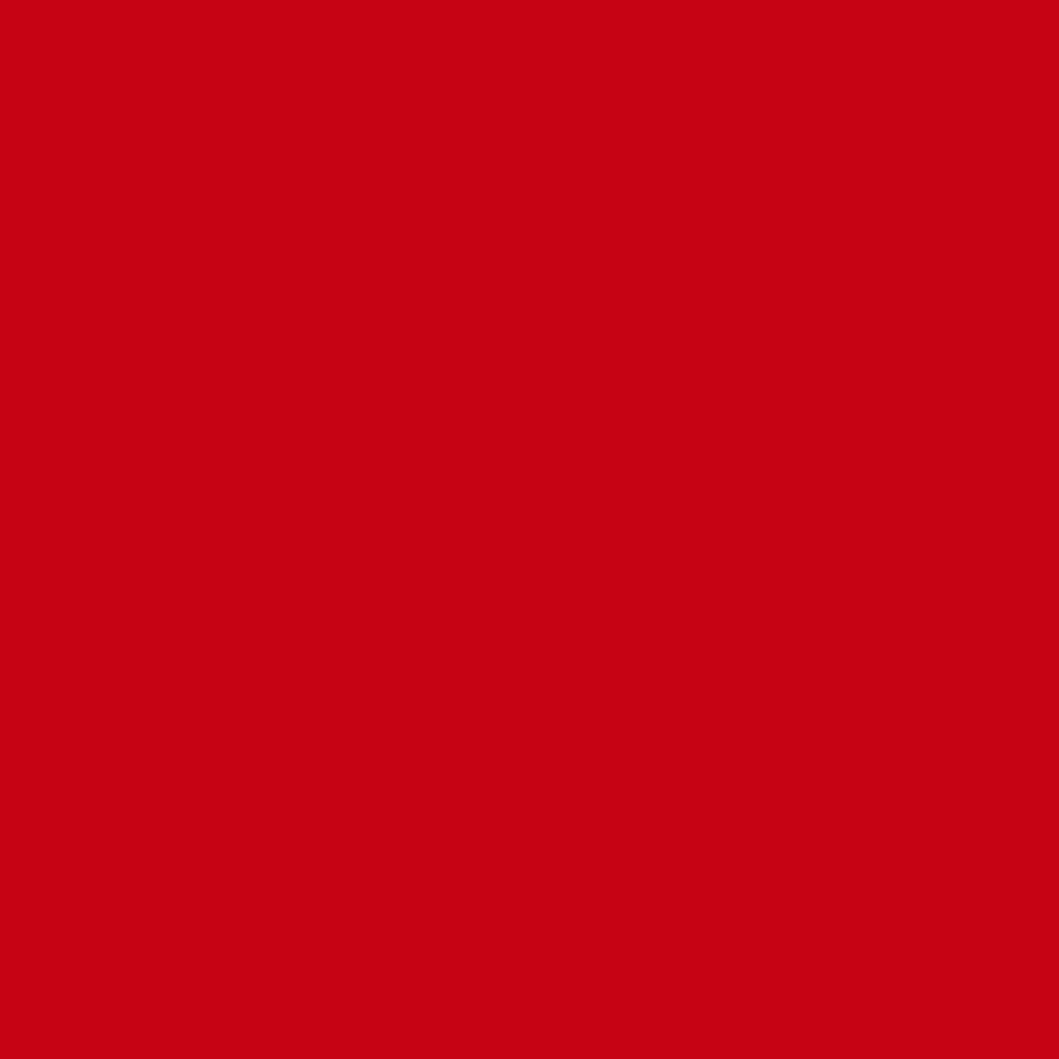Perfect Match Victory Red Automotive Paint – 8 oz Fast-Drying Gloss Finish