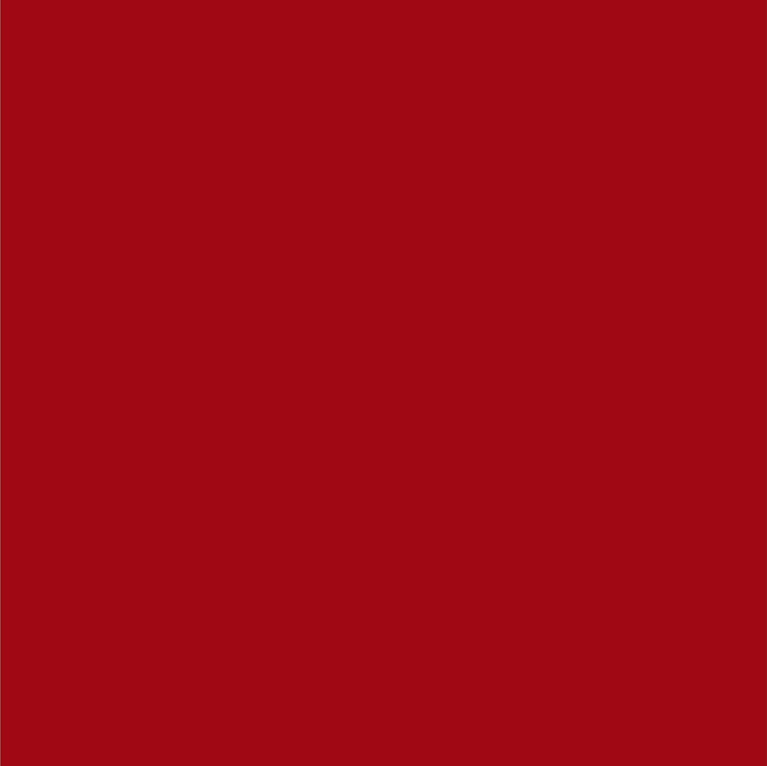 E7 Perfect Match Ford Cardinal Red Automotive Spray – 8 oz. Fast-Drying Paint