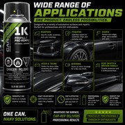 CAR-REP Single Stage Gloss for 2003 VW Beetle Silver Green Heliochrome LK6L,9070