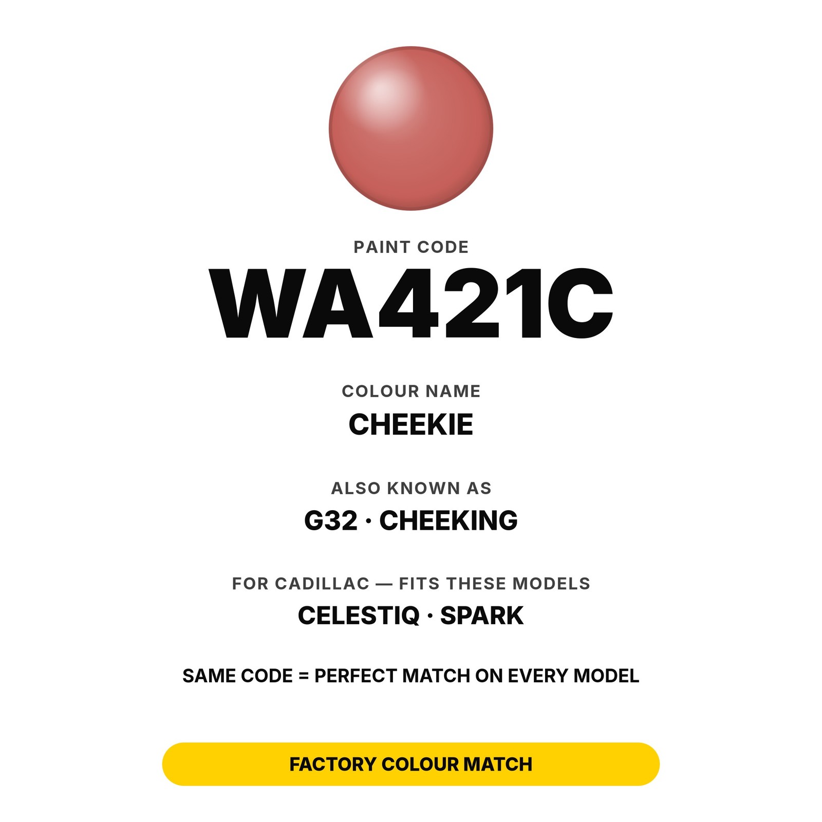 Touch Up Paint For Cadillac Celestiq WA421C Cheekie Set Car Body Panel Touch Up