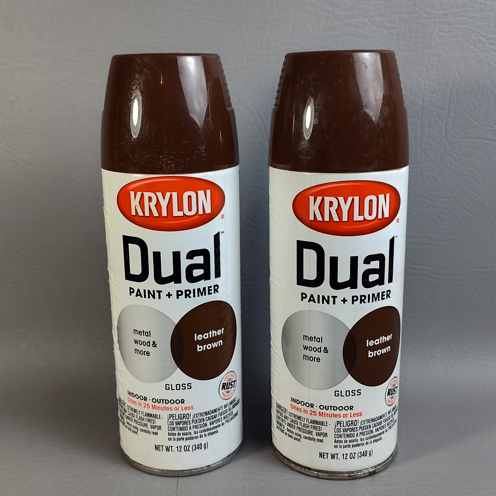 Krylon Dual Paint & Primer Gloss Leather Brown 88123 Indoor/Outdoor 2 Pack