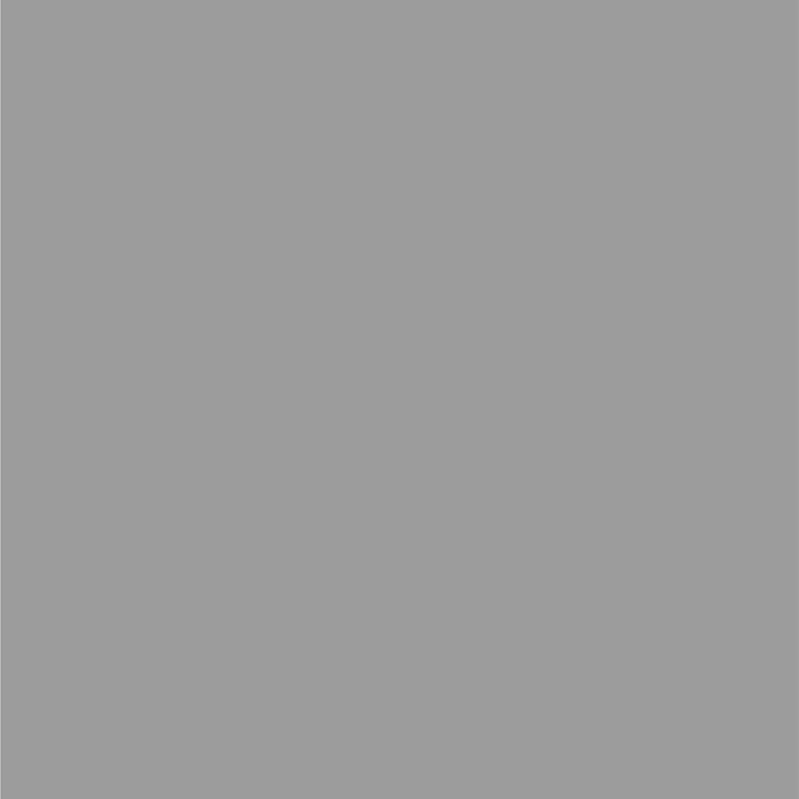 Dupli-Color Perfect Match Silver Metallic NH623M 8 oz Auto Spray Paint New