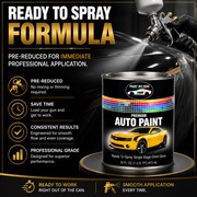 RTS Single Stage Direct Gloss Paint Pint for 2024 Hyundai Serenity White W6H